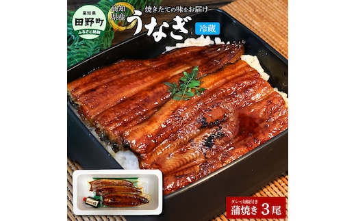 ～四国一小さなまち～ ヤマシン特選うなぎの蒲焼き３尾（特製タレ付き） うなぎ 鰻 ウナギ 国産 高知県産 蒲焼 かばやき 白焼き 特製タレ 冷蔵 配送 真空パック