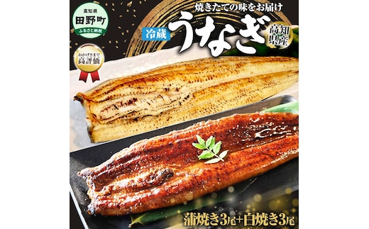 ～四国一小さなまち～ ヤマシン特選うなぎの蒲焼き３尾＋白焼き３尾入り（特製タレ付き） うなぎ 鰻 ウナギ 国産 高知県産 合計6尾 蒲焼 かばやき 白焼き 特製タレ 冷蔵 配送 真空パック