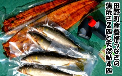 田野町産うなぎの蒲焼き2匹と天然鮎4匹セット タレ付き 山椒付き うなぎ 鰻 ウナギ 蒲焼き かば焼き 無頭 おいしい 国産 お取り寄せ 冷凍 配送