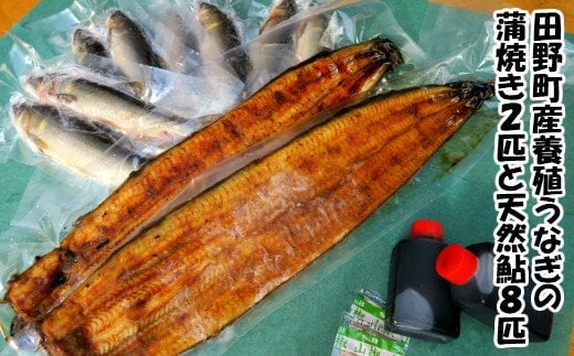 田野町産うなぎの蒲焼き2匹と天然鮎8匹セット タレ付き 山椒付き うなぎ 鰻 ウナギ 蒲焼き かば焼き 無頭 おいしい 国産 お取り寄せ 冷凍 配送