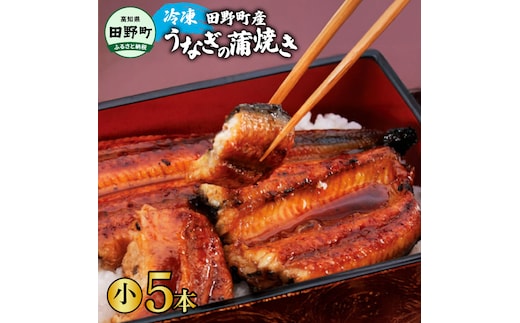 【四国一小さなまち】 田野町産うなぎの蒲焼き（小） 5本 タレ付き 山椒付き うなぎ 鰻 ウナギ 蒲焼き かば焼き 無頭 おいしい 国産 お取り寄せ 冷凍 配送