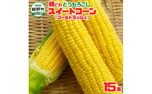 【四国一小さなまちのとうもろこし】★2026年6月中旬頃より発送開始予定★ とうもろこし スイートコーン ゴールドラッシュ 15本 数量限定 朝どれ 新鮮 甘い 野菜 産地直送 冷蔵 配送