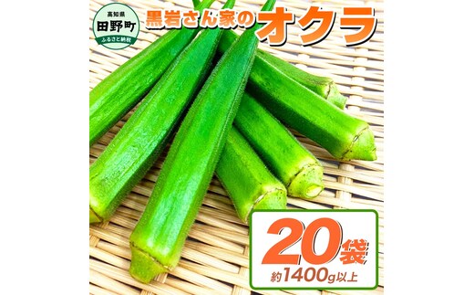 オクラ 20袋 約1.4kg 約1.4キロ おくら 国産 オクラ 新鮮野菜 美味しい 野菜 厳選 新鮮 おかず 常温 配送 副菜 惣菜 煮物 朝どれ 詰め合わせ 取り寄せ グルメ お取り寄せグルメ お取り寄せ サラダ 高知県 高知 6000円 黒岩さん家のオクラ