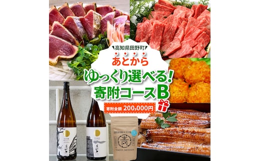 返礼品は後からゆっくり選べる寄附コース★B★ あとから選べる おすすめ 人気 カツオ カツオのたたき うなぎ 鰻 肉 酒 塩 魚 魚介 カタログ 200000円