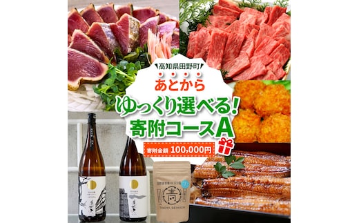 返礼品は後からゆっくり選べる寄附コース★A★ あとから選べる おすすめ 人気 カツオ カツオのたたき うなぎ 鰻 肉 酒 塩 魚 魚介 カタログ 100000円