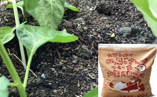 【四国一小さなまち】のぶさんがつくった牛フン堆肥 20L（約6kg）×3袋