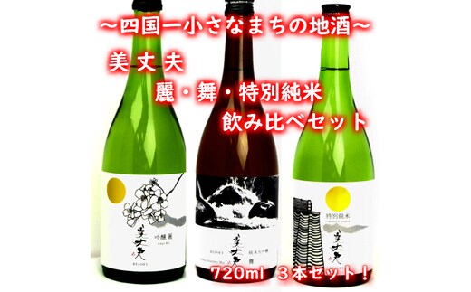 【四国一小さなまちの地酒】 美丈夫 720ml×３本 飲み比べセットD（吟醸 麗・純米大吟醸 舞・特別純米酒）