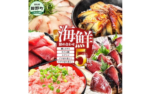 厳選 海鮮5種詰め合わせセット 鰹のタタキ600g マグロ切り落とし200g ブリ切り落とし150g きざみ鰻80g ネギトロ100g かつお カツオ まぐろ 鮪 ぶり うなぎ 冷凍 高知 小分け おいしい 高知県 田野町