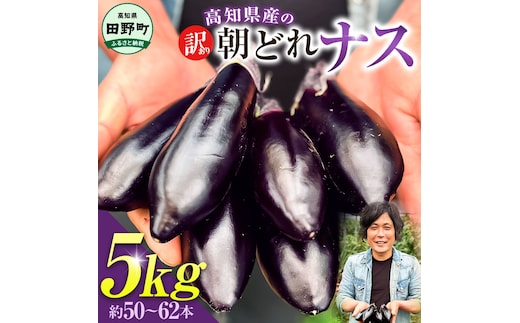 訳あり高知県産の朝どれナス 5kg 茄子 なす 新鮮 朝採れ 野菜 夏野菜 柔らかい 甘い おいしい 生鮮食品 食品 食べ物 浅漬け 煮浸し 国産 お取り寄せ