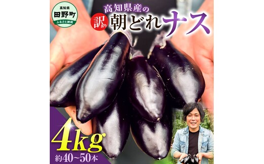 訳あり高知県産の朝どれナス 4kg 茄子 なす 新鮮 朝採れ 野菜 夏野菜 柔らかい 甘い おいしい 生鮮食品 食品 食べ物 浅漬け 煮浸し 国産 お取り寄せ