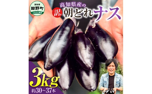 訳あり高知県産の朝どれナス 3kg 茄子 なす 新鮮 朝採れ 野菜 夏野菜 柔らかい 甘い おいしい 生鮮食品 食品 食べ物 浅漬け 煮浸し 国産 お取り寄せ