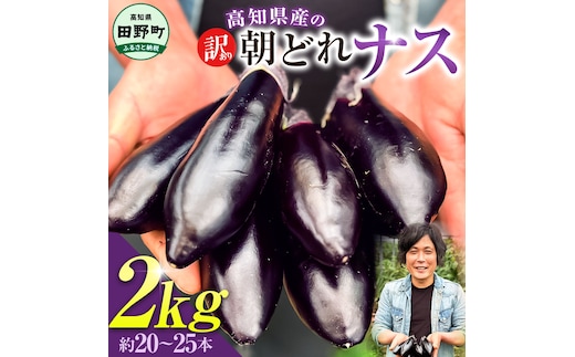 訳あり高知県産の朝どれナス 2kg 茄子 なす 新鮮 朝採れ 野菜 夏野菜 柔らかい 甘い おいしい 生鮮食品 食品 食べ物 浅漬け 煮浸し 国産 お取り寄せ