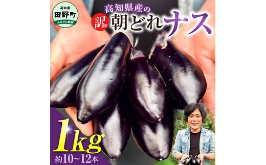 訳あり高知県産の朝どれナス 1kg 茄子 なす 新鮮 朝採れ 野菜 夏野菜 柔らかい 甘い おいしい 生鮮食品 食品 食べ物 浅漬け 煮浸し 国産 お取り寄せ
