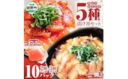 これが魚屋の漬け丼だ！魚屋のおまかせ5種漬け丼セット(マグロ＋鯛＋おまかせ3種) 5種×2P 合計10パック 各80g 鮪 ハマチ 鯛 カンパチ ブリ 詰め合わせ 漬け丼 漬け どんぶり 丼 鮮 魚 真空パック 個包装 冷凍