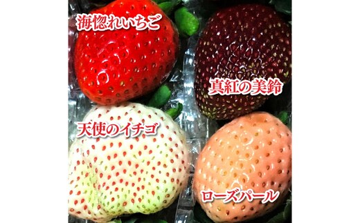 ≪農園直送≫ 高級品種4色いちご ボックス 計600g程度 いちご イチゴ