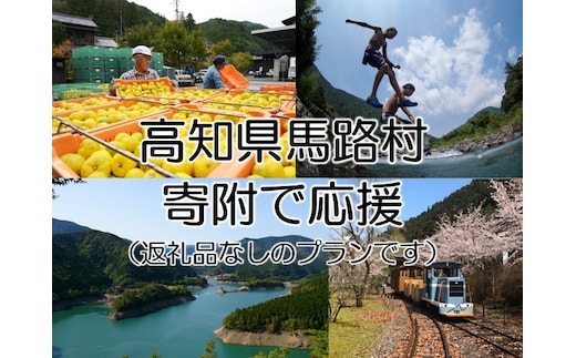 【寄附のみ】 寄附で高知県馬路村を応援（返礼品はございません）