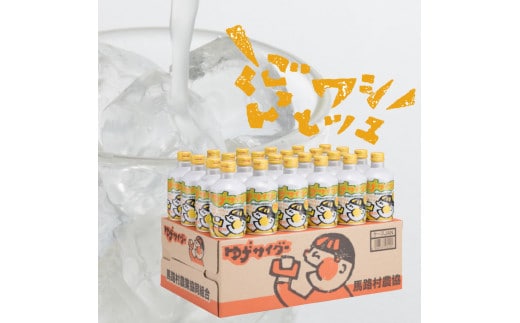 【炭酸飲料】ゆずサイダー280ml×24本×2箱 ゆずの炭酸飲料