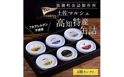 支援品 防災 Royal Hotel 土佐おすすめ！黒潮町の缶詰セット［6種