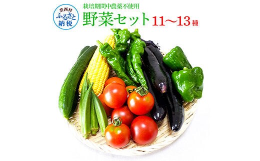 野菜セット（11‐13種類）栽培期間中農薬不使用！ 季節の野菜 旬 無農薬