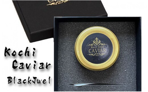 KYF004 熟成キャビア（30g）ブラックジュエル化粧箱入り シェルスプーン付 チョウザメ 卵 魚卵 高知県産 【koyofr】卵一粒に旨みが凝縮【geiseiymt】〈高知市共通返礼品〉