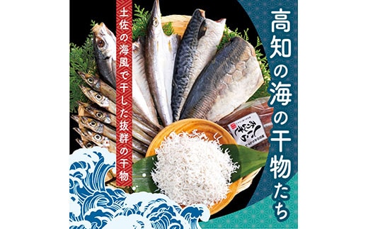 SST002 高知の海の干物たち＜土佐の海風で干した抜群の干物を＞＜高知市・南国市共通返礼品＞