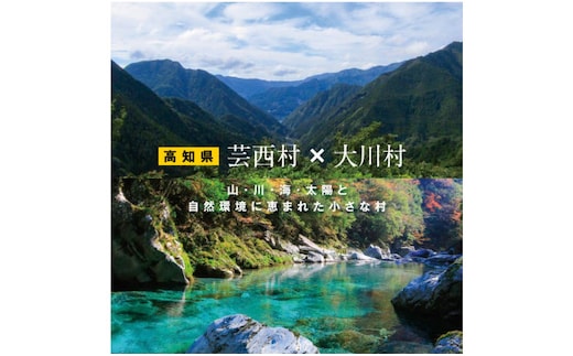 ZZ110-NT 【芸西村と大川村の共通返礼品】芸西村 海鮮丼の素セット【個別発送】＆大川村 土佐はちきん地鶏モモ肉セット