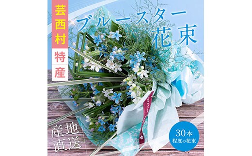 JJM002 《先行予約》芸西村特産ブルースター花束（約30本程度の花束）