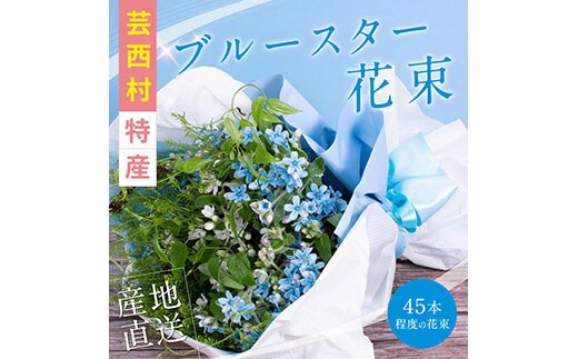 JJM003 《先行予約》芸西村特産ブルースター花束（約45本程度の花束）