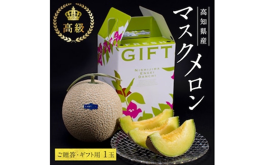 SKS023 緊急支援 高知県産 高級マスクメロン（ご贈答・ギフト用）1玉入〈南国市共通返礼品〉【発送期間：4月～12月（9カ月）】【1月～3月は気候温度不安定の為出荷不可となります。】