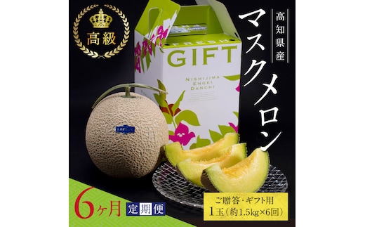 t063sks 《6ヶ月定期便》高知県産 高級マスクメロン（ご贈答・ギフト用）1玉入 【発送期間：4月～12月（9カ月）】【1月～3月は気候温度不安定の為出荷不可となります。】〈南国市共通返礼品〉