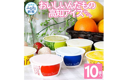 TKA015 おいしいんだもの 高知アイスセット／高知の素材にこだわった人気アイスのアソートセットです。故郷納税 11000円 2022 食べ物 ギフト 詰め合わせ シャーベット スイーツ お菓子 プレゼント 濃厚 バニラ アイスクリーム 塩 いちご 苺 お茶 文旦 ゆず