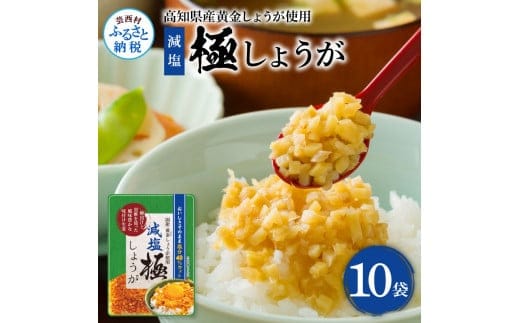 SNS007 減塩味付け極しょうが110g×10袋 - 減塩 しょうが ショウガ 生姜 生ふりかけ 坂田信夫商店 黄金しょうが 高知 国産 料理 おかず 調味料 ご飯のお供 混ぜご飯 刻み生姜 健康 話題