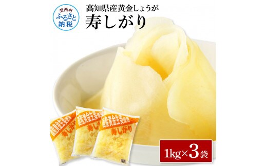 SNS005 国産黄金しょうが寿しがり1kg×3袋 - ガリ しょうが ショウガ 生姜 坂田信夫商店 黄金しょうが 国産 お寿司 付け合せ 寿司用がり ふるさとのうぜい 故郷納税 15000円 返礼品 高知