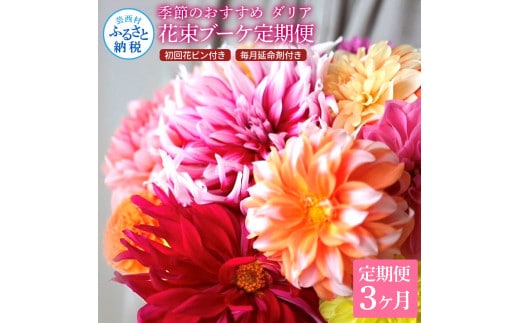 t181tmf 《3ヵ月定期便》 ダリア 花束 初回花瓶付 定期便 定期コース 全3回 延命剤付き ラッピング 花びん 生花 花束 ブーケ 花 お花 可愛い キレイ おしゃれ 供花 お供え ギフト プレゼント