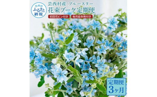 t178tmf 《3ヵ月定期便》 ブルースター 花束 初回花瓶付 定期便 定期コース 全3回 延命剤付き ラッピング 花びん 生花 花束 ブーケ 花 お花 可愛い キレイ おしゃれ 供花 お供え ギフト プレゼント