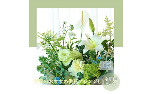 t175tmf 《3ヵ月定期便》生花アレンジ お供え 供花L 定期便 定期コース 全3回 フラワーアレンジメント そのまま飾れる お供え 花束 生花 仏花 供花 花束 はな 花 法要 お盆 季節のお花 供花 お供え
