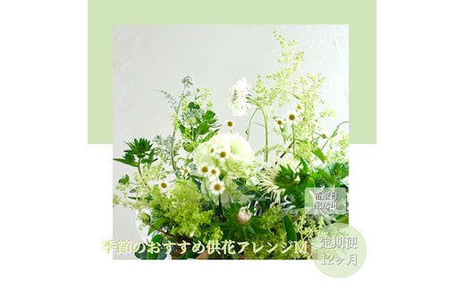 t174tmf 《12ヵ月定期便》生花アレンジ お供え 供花M 定期便 定期コース 全12回 フラワーアレンジメント そのまま飾れる お供え 花束 生花 仏花 供花 花束 花 法要 お盆 季節のお花 供花 お供え