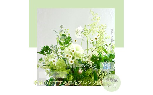 t172tmf 《3ヵ月定期便》生花アレンジ お供え 供花M 定期便 定期コース 全3回 フラワーアレンジメント そのまま飾れる お供え 花束 生花 仏花 供花 花束 はな 花 法要 お盆 季節のお花 供花 お供え