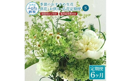 t167tmf 《6ヵ月定期便》花束一束 お供え 初回花瓶付S 定期便 定期コース 全6回 初回花瓶付き 延命剤付き 花びん 生花 仏花 供花 花束 はな 花 法要 お盆 花 おすすめ 一束 季節のお花 供花 お供え