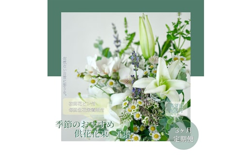 t166tmf 《3ヵ月定期便》花束一束 お供え 初回花瓶付S 定期便 定期コース 全3回 初回花瓶付き 延命剤付き 花びん 生花 仏花 供花 花束 はな 花 法要 お盆 花 おすすめ 一束 季節のお花 供花 お供え