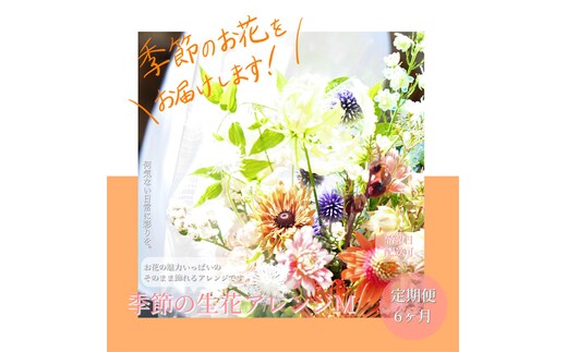 t161tmf 《6ヵ月定期便》おすすめ生花アレンジメントM 定期便 定期コース 全6回 フラワーアレンジメント そのまま飾れる 生花 花束 花 お花 おすすめ 可愛い キレイ おしゃれ 季節のお花 供花 お供え