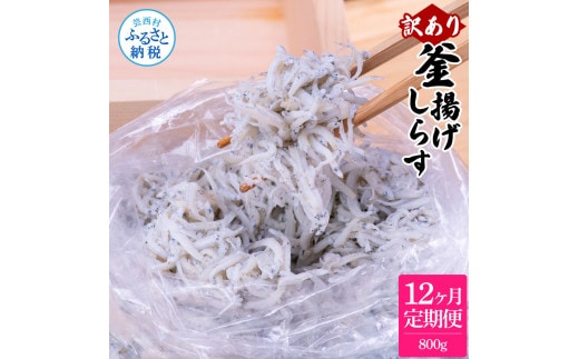 t202mmk 〈12ヶ月定期便〉訳あり 釜揚げシラス 800g 定期便 定期コース 12ヶ月 しらす シラス 釜揚げ 新鮮 塩分控えめ 離乳食 わけあり ワケあり 不揃い しらす丼 海鮮丼 お茶漬け