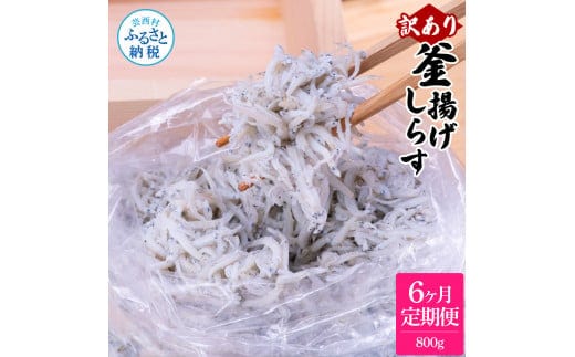 t201mmk 〈6ヶ月定期便〉訳あり 釜揚げシラス 800g 定期便 定期コース 6ヶ月 しらす シラス 釜揚げ 新鮮 塩分控えめ 離乳食 わけあり ワケあり 不揃い しらす丼 海鮮丼 お茶漬け