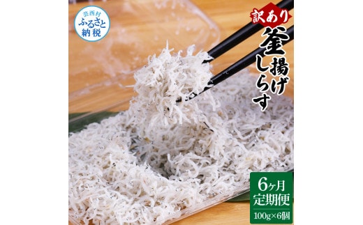 t189mmk 〈6ヶ月定期便〉訳あり 釜揚げシラス 100g×6個 定期便 定期コース 6ヶ月 しらす シラス 釜揚げ 新鮮 塩分控えめ 離乳食 わけあり ワケあり 不揃い しらす丼 海鮮丼 お茶漬け