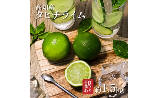 TSF002-1 訳ありタヒチライム 約1.5kg ライム 国産 種なし 柑橘類 かんきつ類 防腐剤不使用 ノーワックス 新鮮 冷蔵 家庭用 果物 くだもの フルーツ 芸西村 高知県産