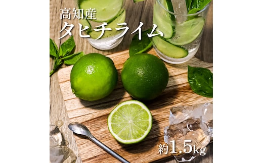 TSF001-1 タヒチライム 約1.5kg ライム 国産 種なし 柑橘類 かんきつ類 防腐剤不使用 ノーワックス 新鮮 冷蔵 家庭用 果物 くだもの フルーツ 芸西村 高知県産