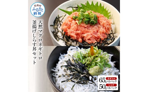 KGP037 高知県産釜揚げしらす（8P）と天然マグロのタタキ丼（6P）セット（小分け）