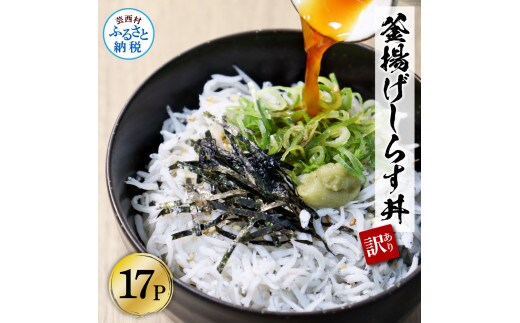 KGP033-W 訳あり高知県産釜揚げしらす 50g×17パック（小分け）