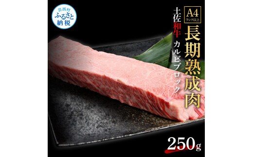 TKA231 天下味 エイジング工法 熟成肉 土佐和牛 特選 カルビブロック 250g エイジングビーフ 国産 牛肉 土佐 和牛 冷凍配送 真空パック お祝い 高知 芸西村 贈り物 贈答 ギフト
