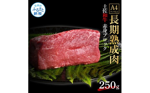 TKA228 天下味 エイジング工法 熟成肉 土佐和牛 特選 赤身ブロック 250g エイジングビーフ 国産 牛肉 土佐 和牛 冷凍配送 真空パック お祝い 高知 芸西村 贈り物 贈答 ギフト